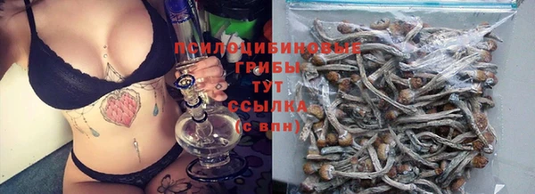 ECSTASY Алексеевка