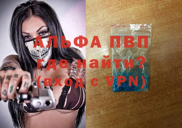 spice Аркадак