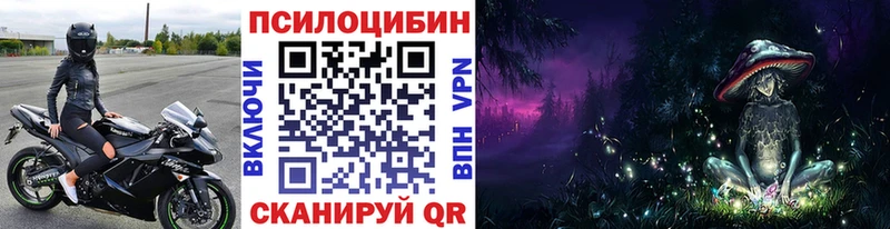 как найти   Междуреченск  Галлюциногенные грибы мицелий 