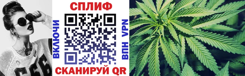 где можно купить наркотик  это наркотические препараты  Шишки марихуана THC 21%  Междуреченск 